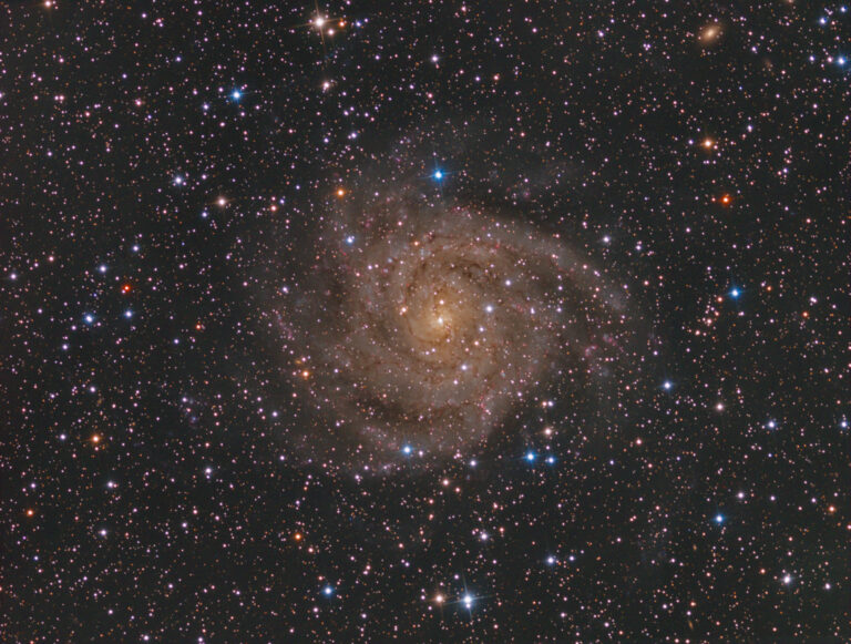 IC 342
