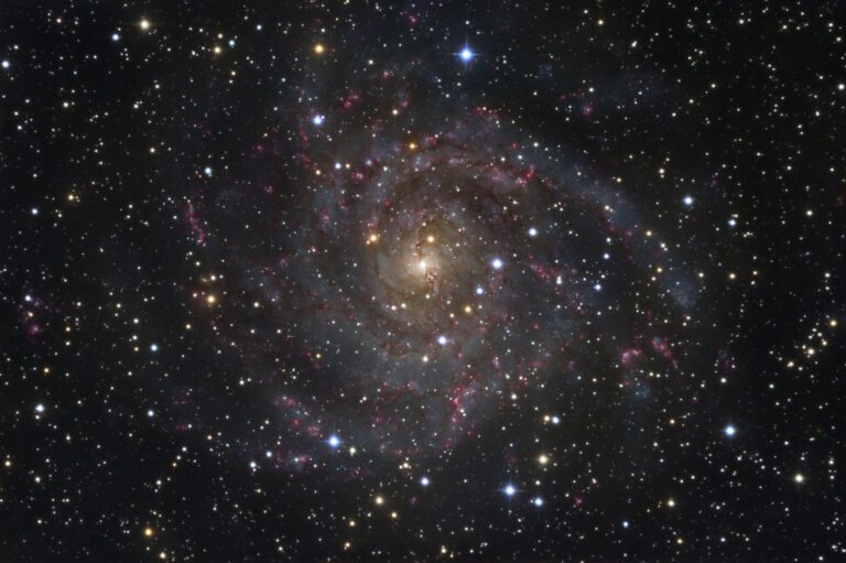 IC 342