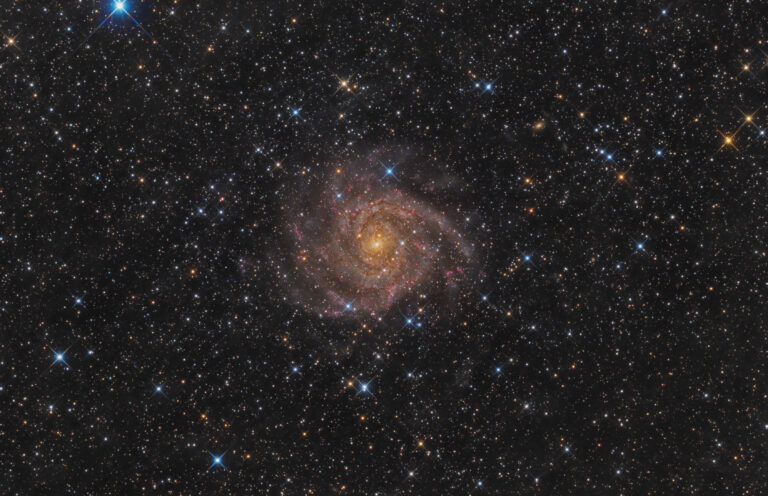 IC 342