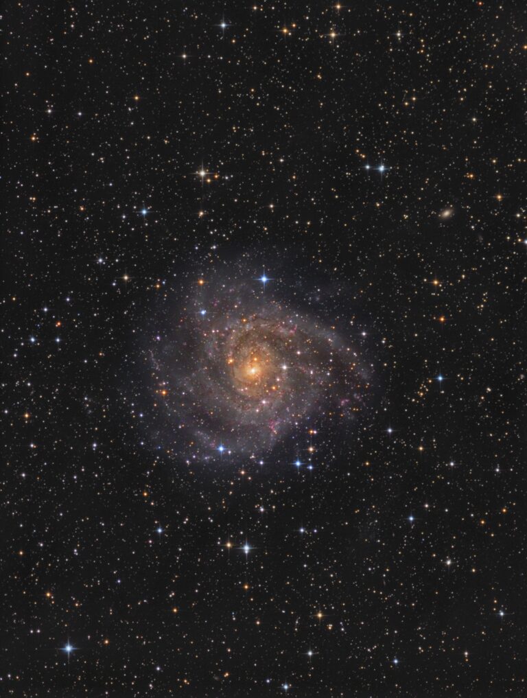 IC 342
