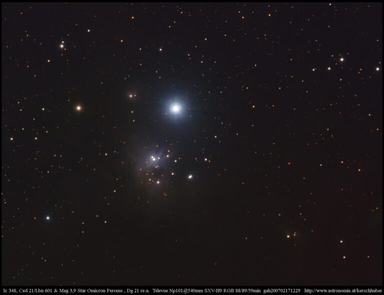 IC 348