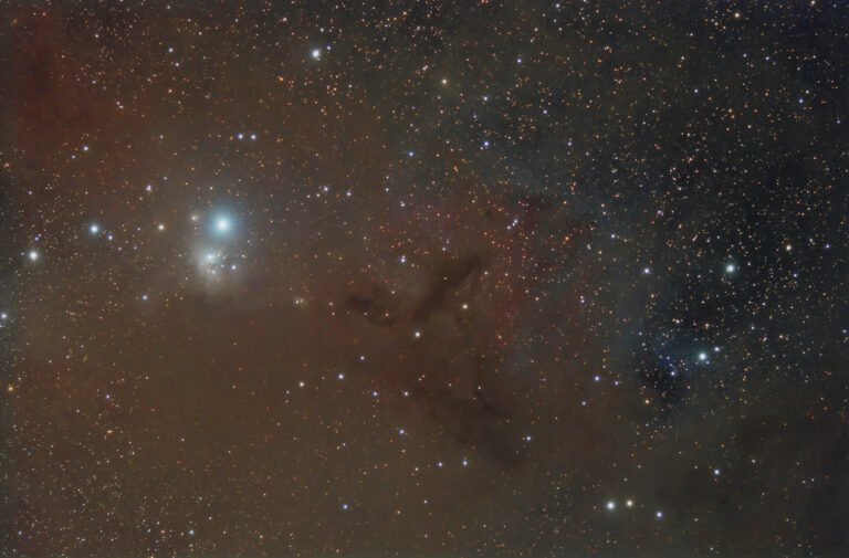 IC 348