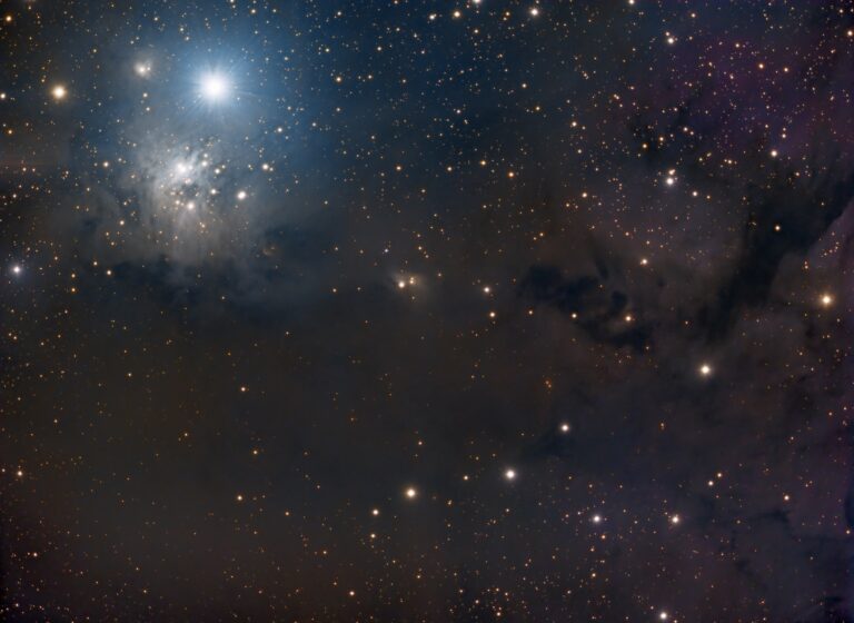 IC 348