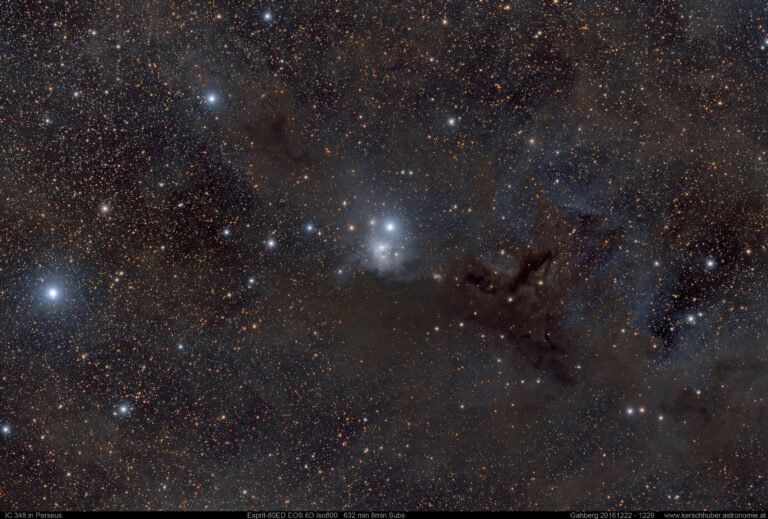 IC 348