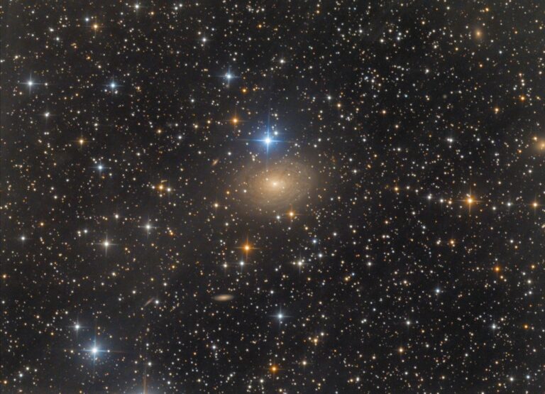 IC 356