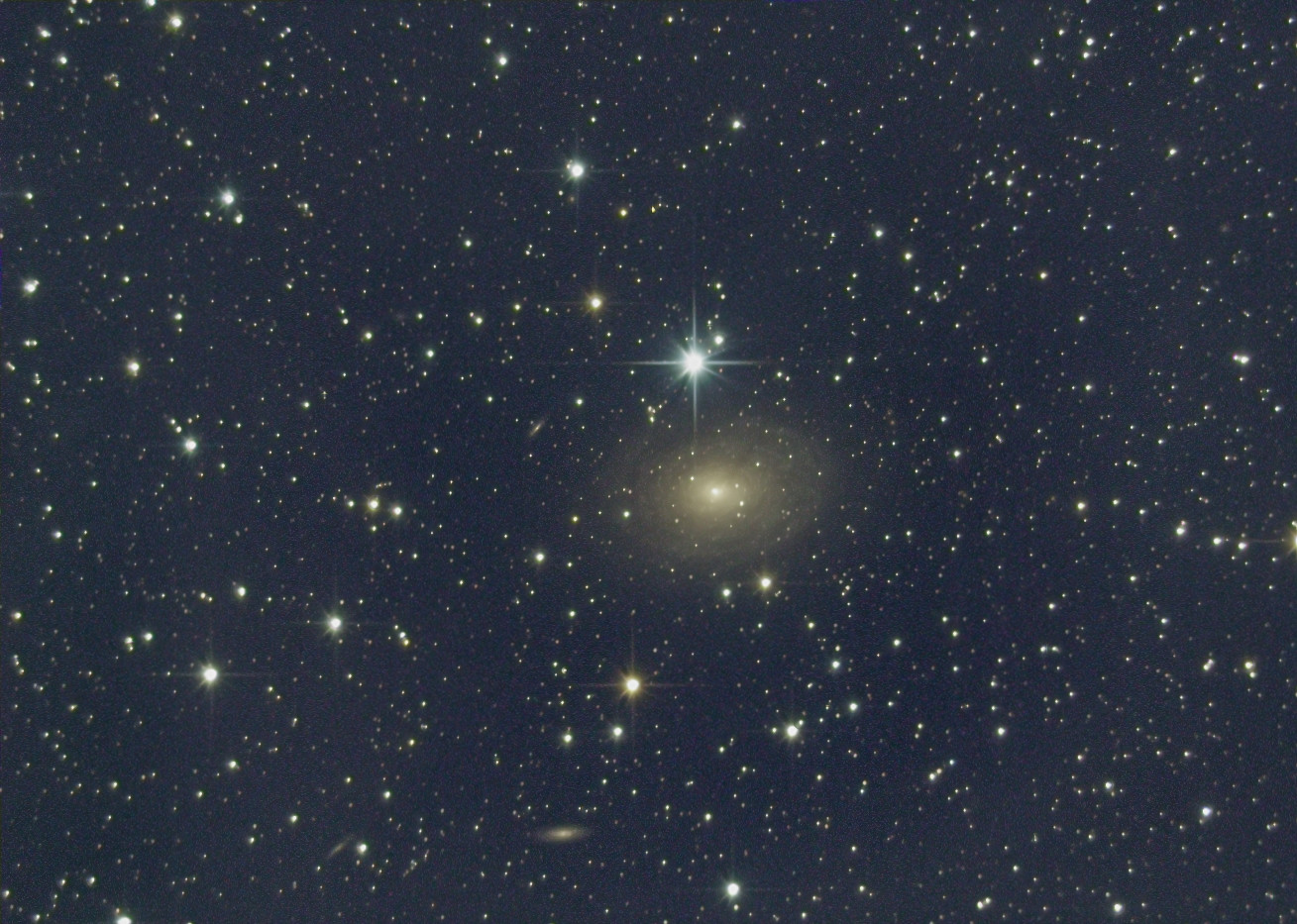 IC 356