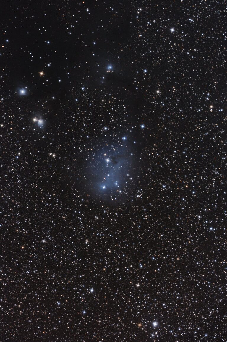 IC 447
