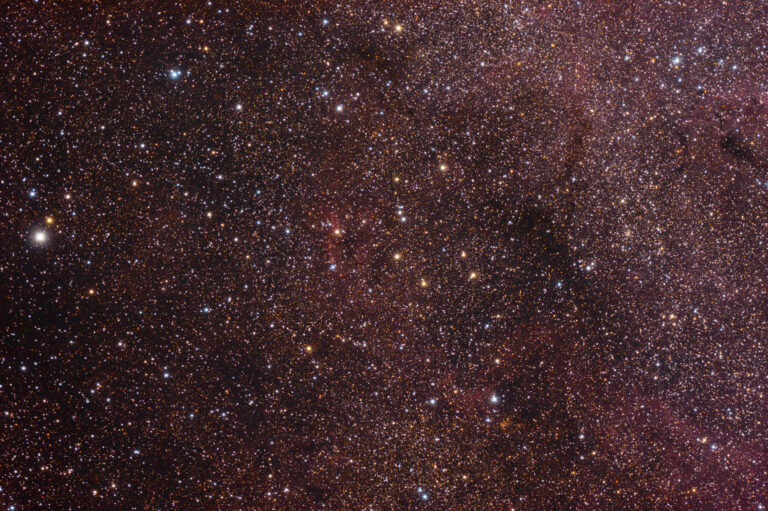 IC 1310