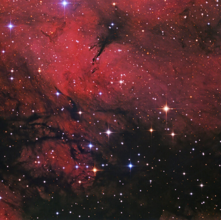 IC 1318
