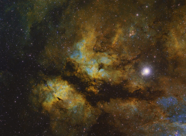 IC 1318