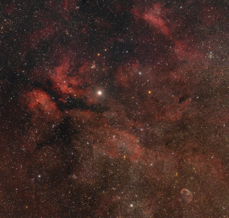 IC 1318