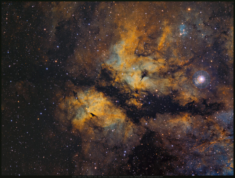 IC 1318