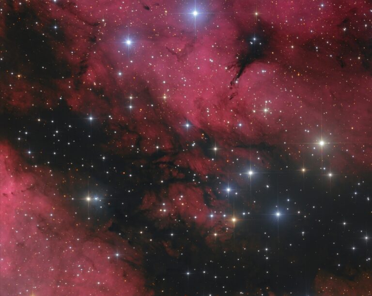 IC 1318