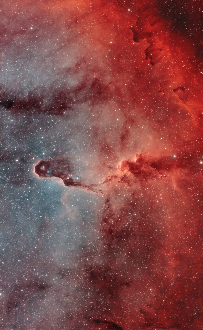 IC 1396