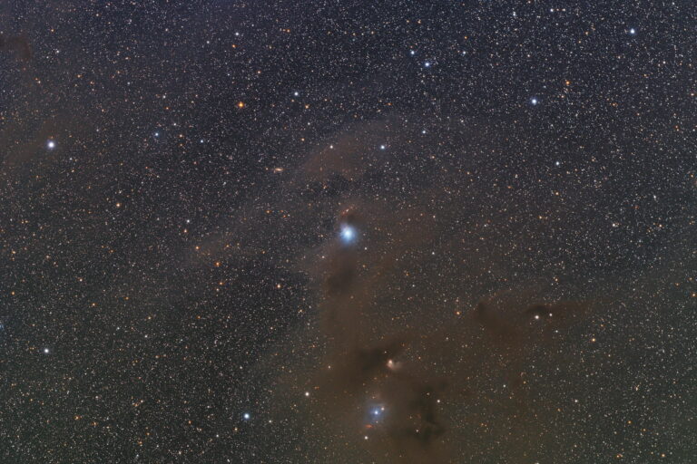 IC 2631