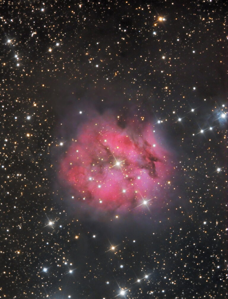 IC 5146