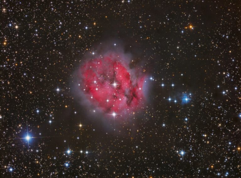 IC 5146