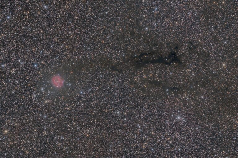 IC 5146