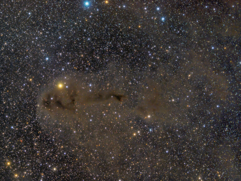 LBN 558