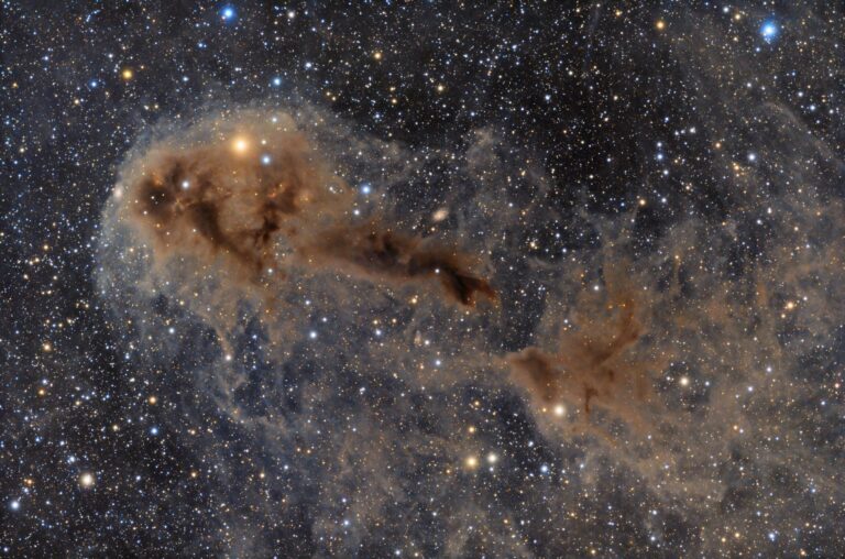 LBN 558