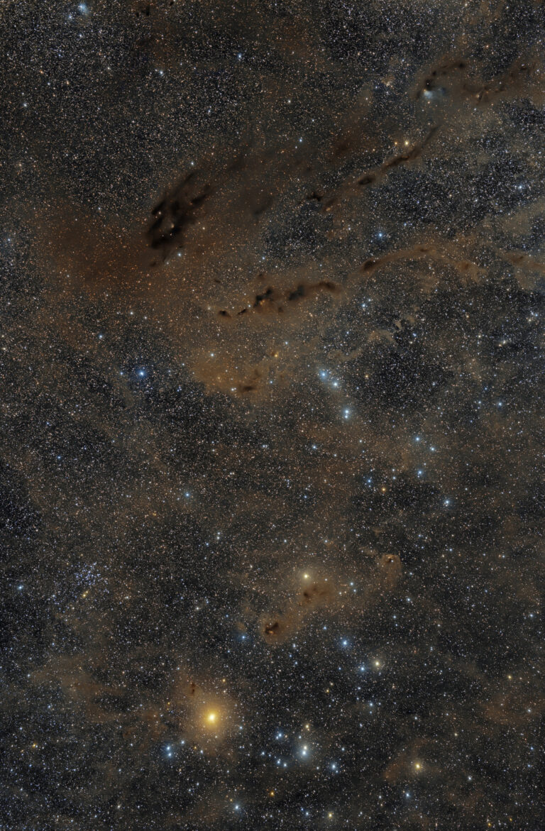 LBN 800