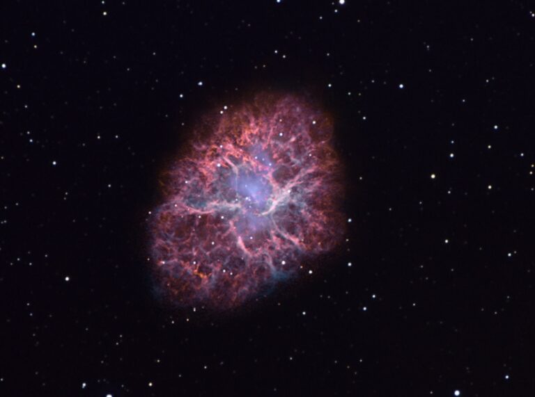 M 1