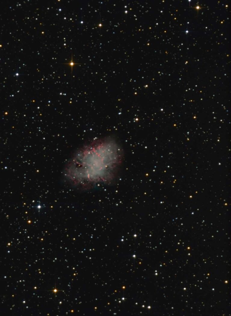 M 1