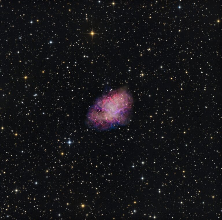 M 1