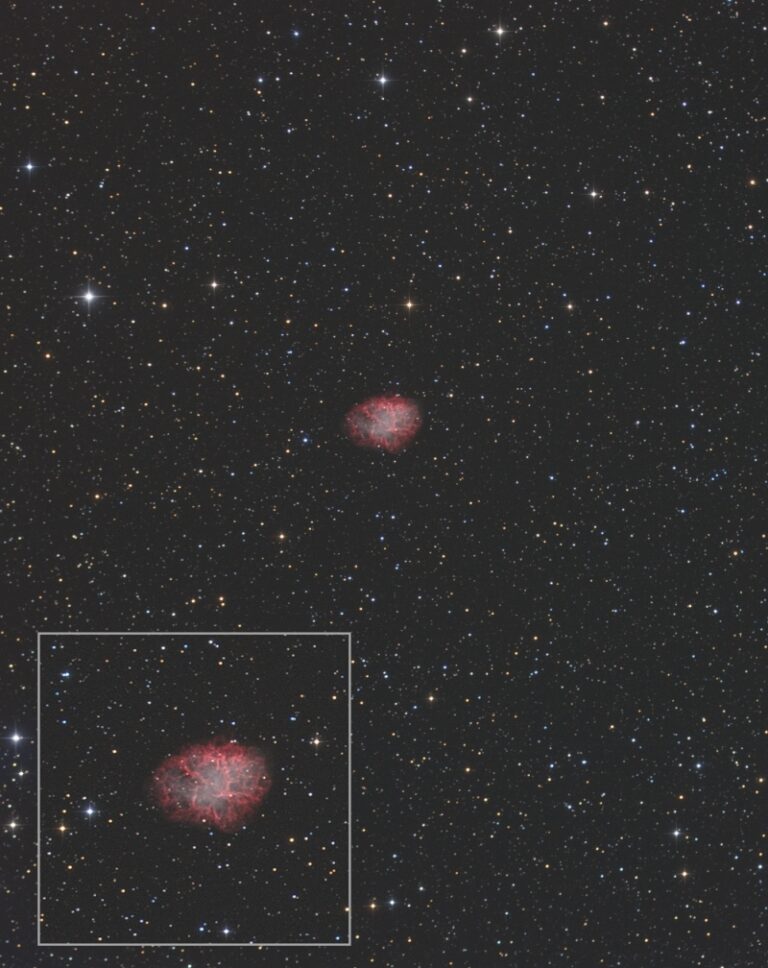 M 1