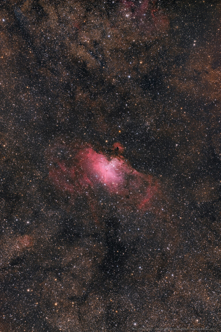 M 16