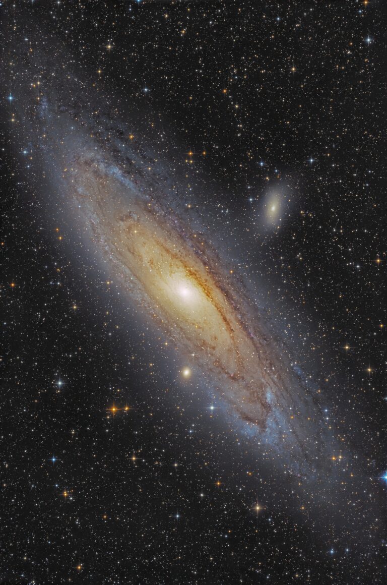 M 31