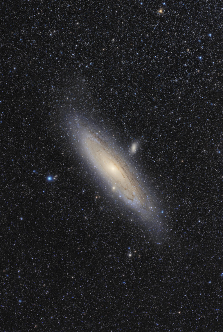 M 31