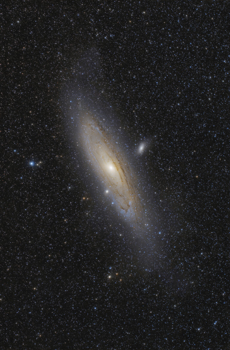 M 31