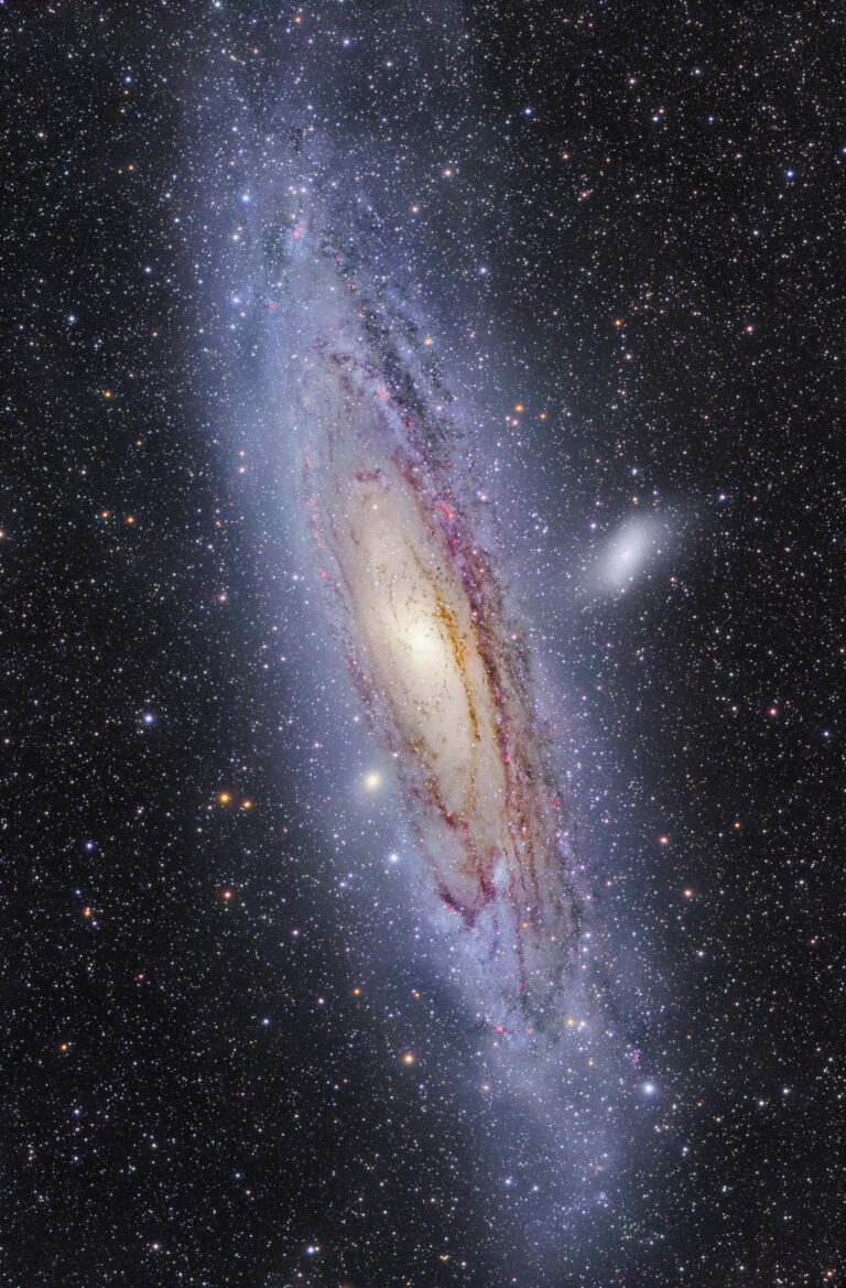 M 31