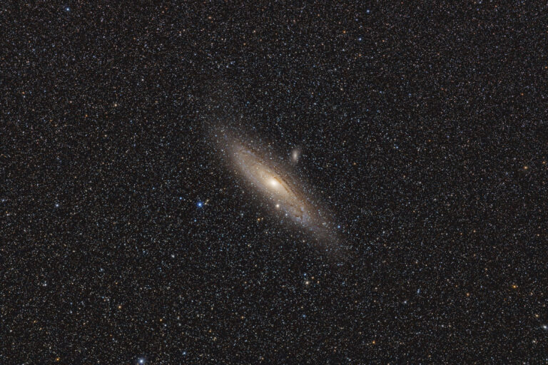M 31
