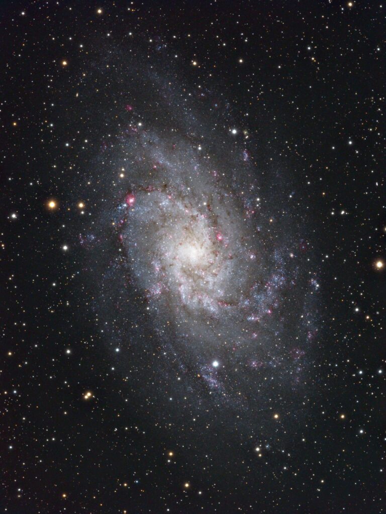 M 33
