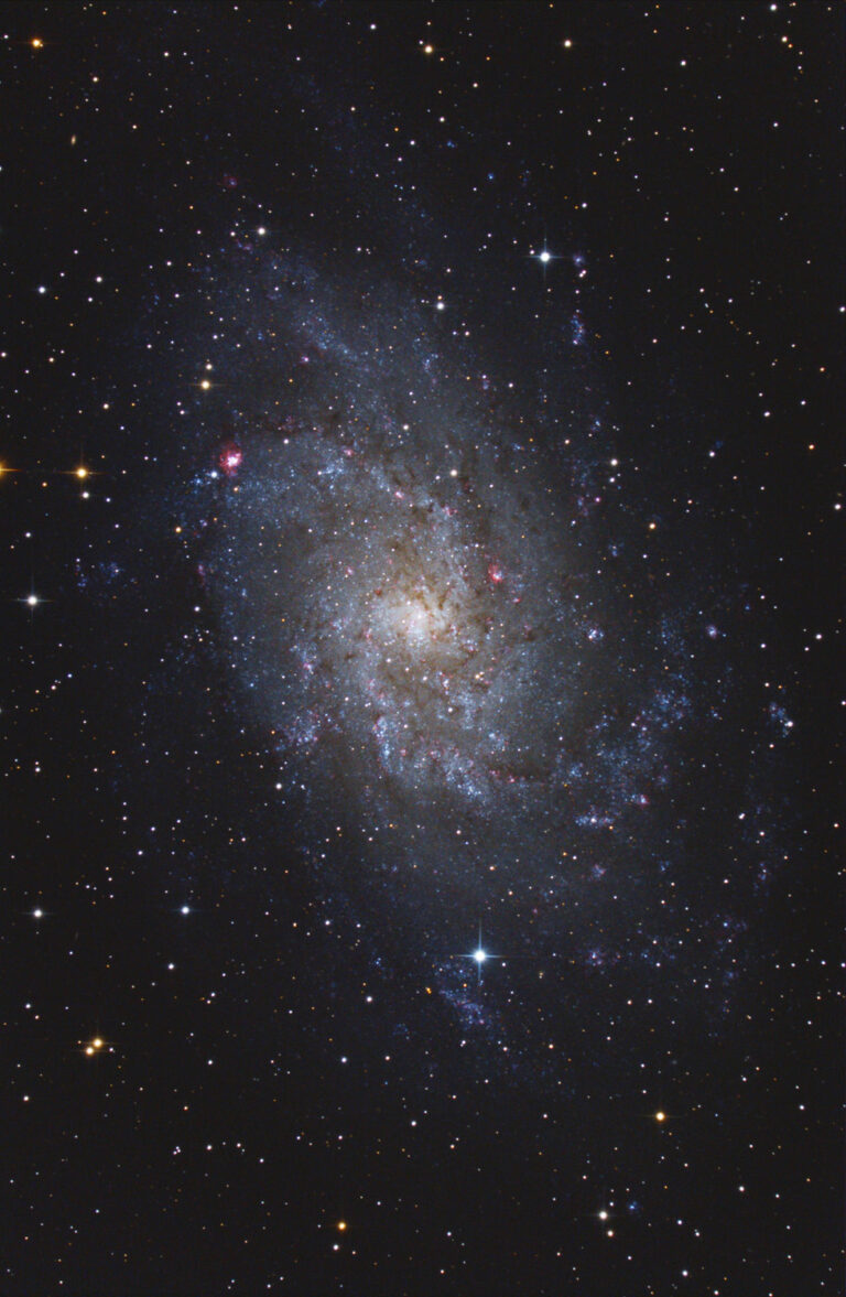M 33