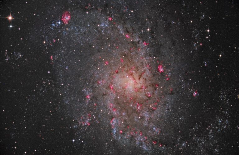 M 33