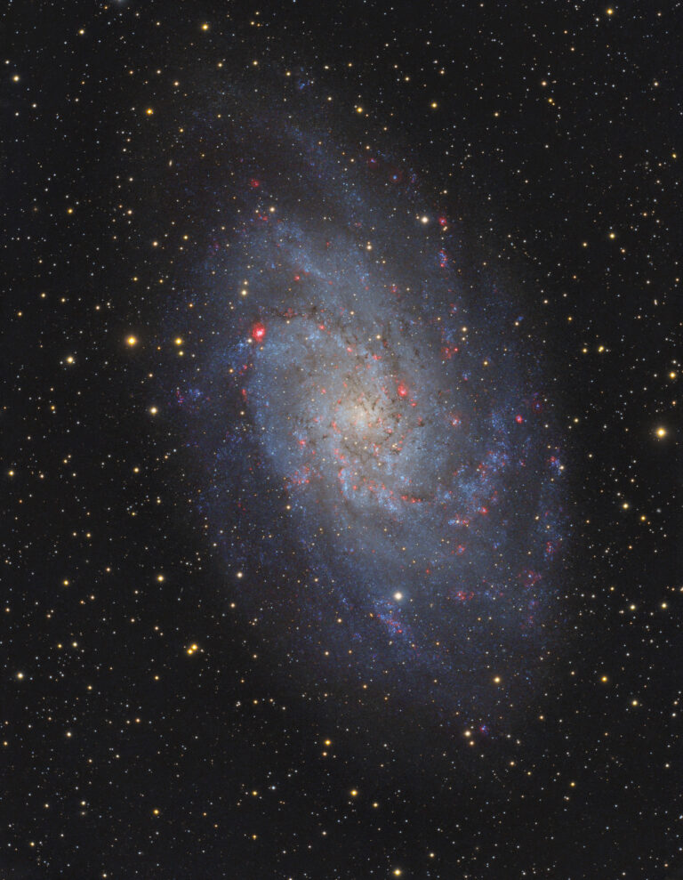 M 33