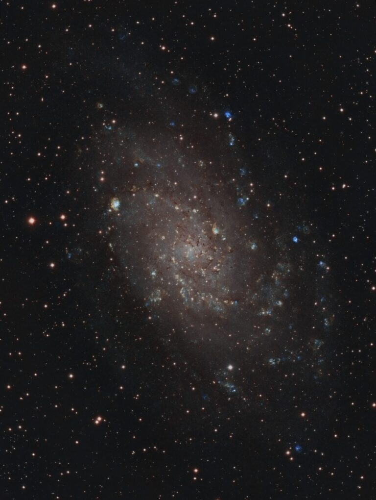 M 33