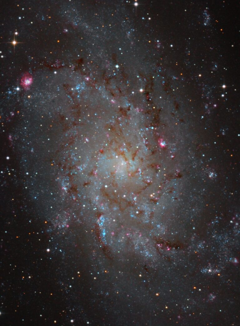 M 33
