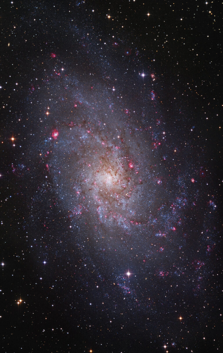 M 33