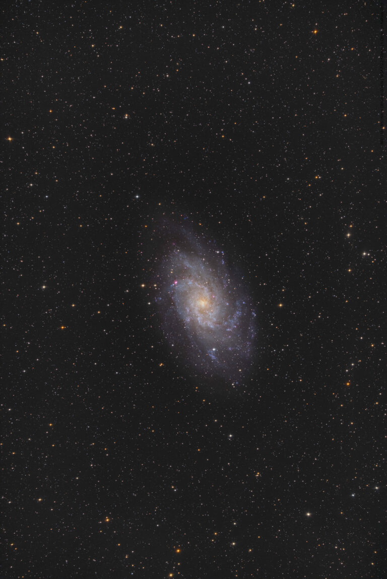 M 33
