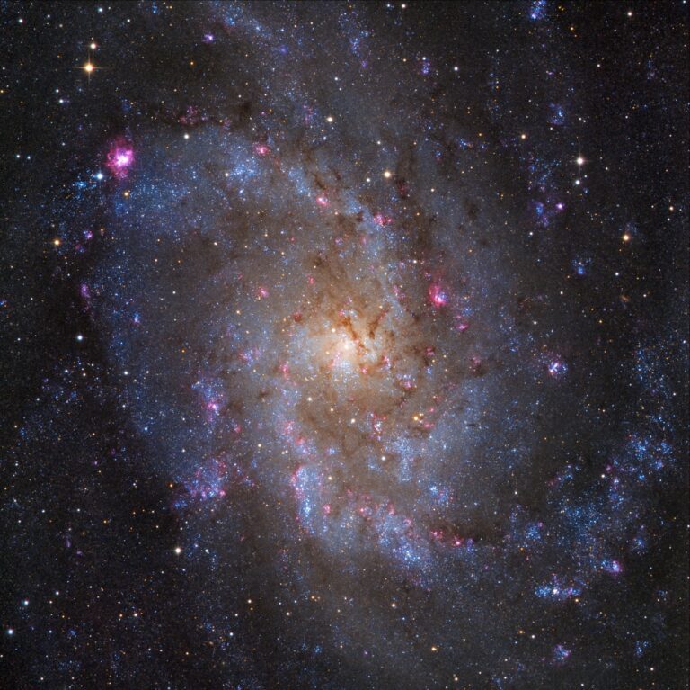 M 33