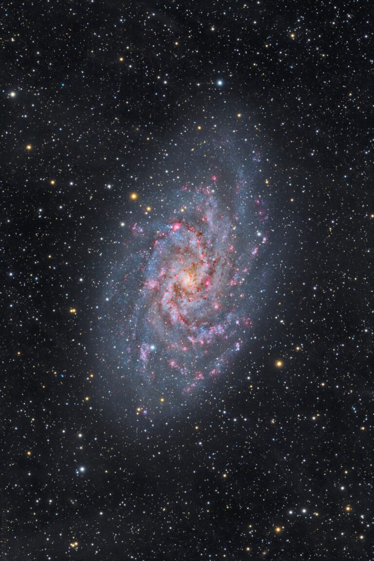 M 33
