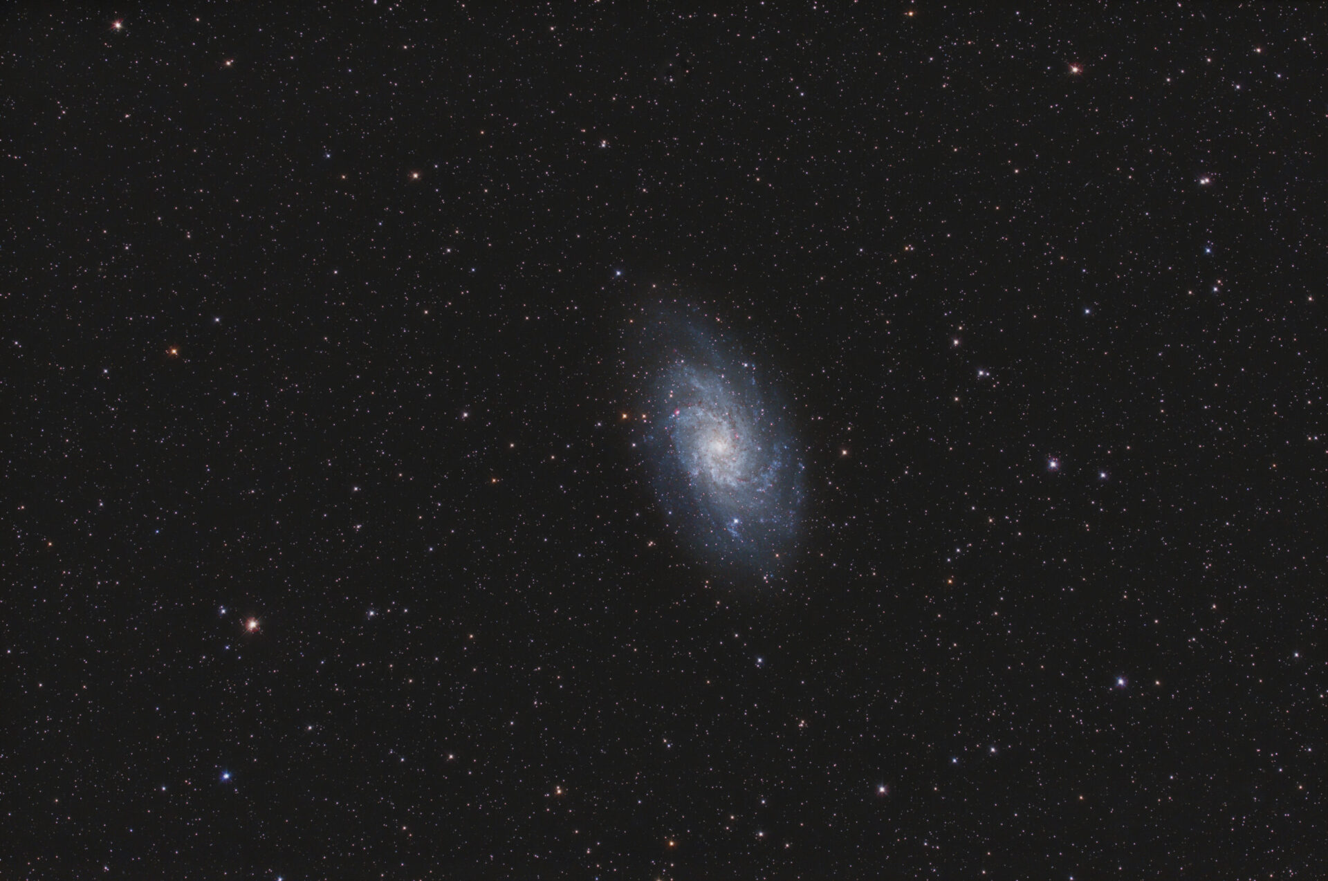 M 33