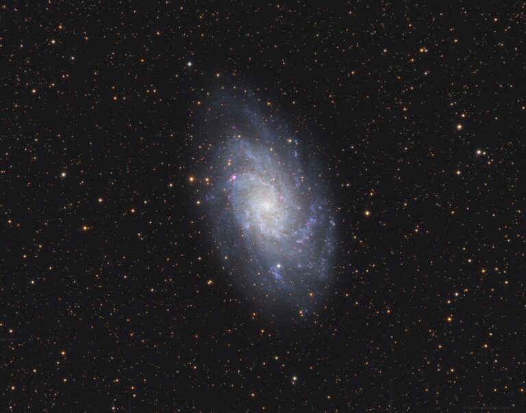 M 33