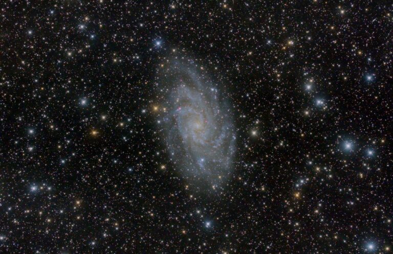 M 33