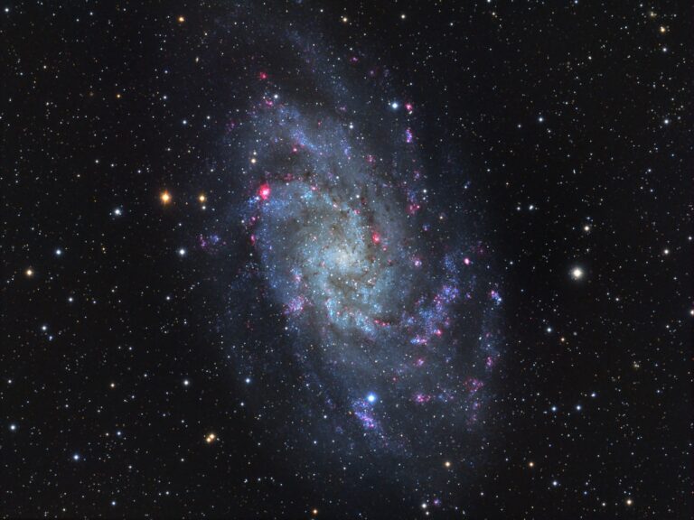 M 33