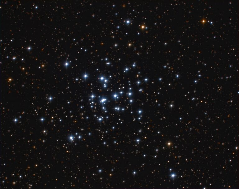 M 36